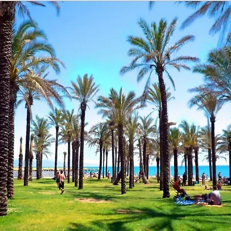 Playamar Ii Sunny Apartamento